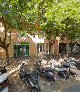 Electronics Girona S.l.u
