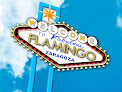 Flamingo Zaragoza - Salon De Juegos Y Apuestas